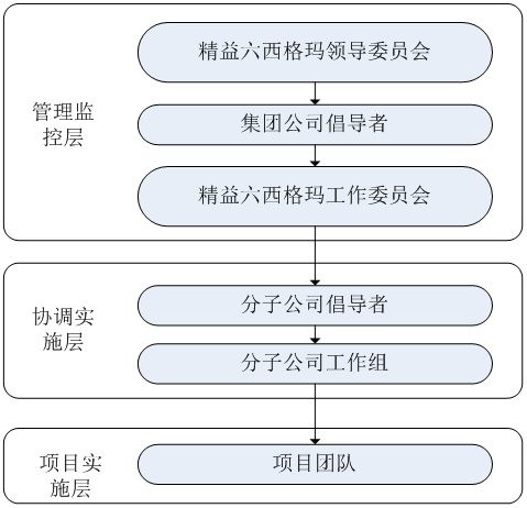 精益六西格瑪實(shí)施組織架構(gòu)和職能職責(zé)