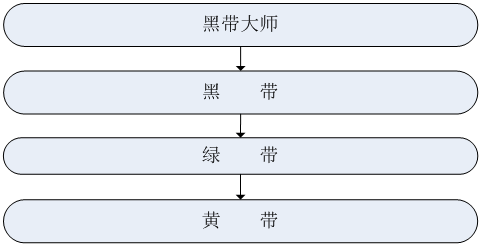 精益六西格瑪實(shí)施組織架構(gòu)和職能職責(zé)